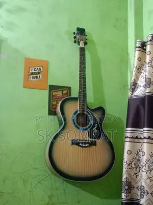 গিটার বাটারফ্লাই কাস্টমাইজ