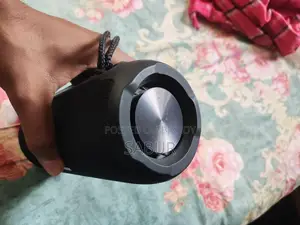Y669 31watt Bluetooth Speaker