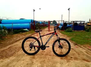 Phoenix Kool Bicycle