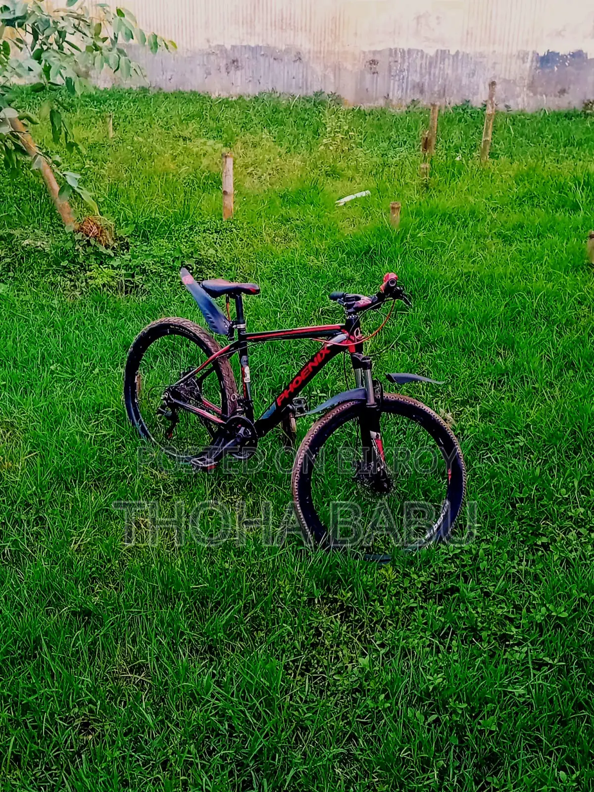 Phoenix Kool Bicycle