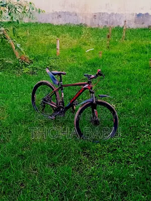 Phoenix Kool Bicycle