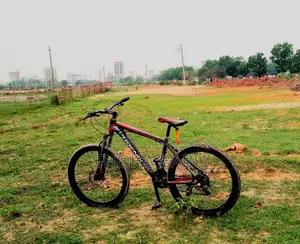 Phoenix Kool Bicycle