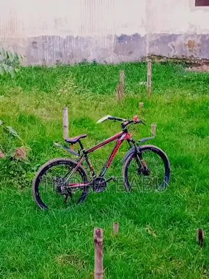 Phoenix Kool Bicycle