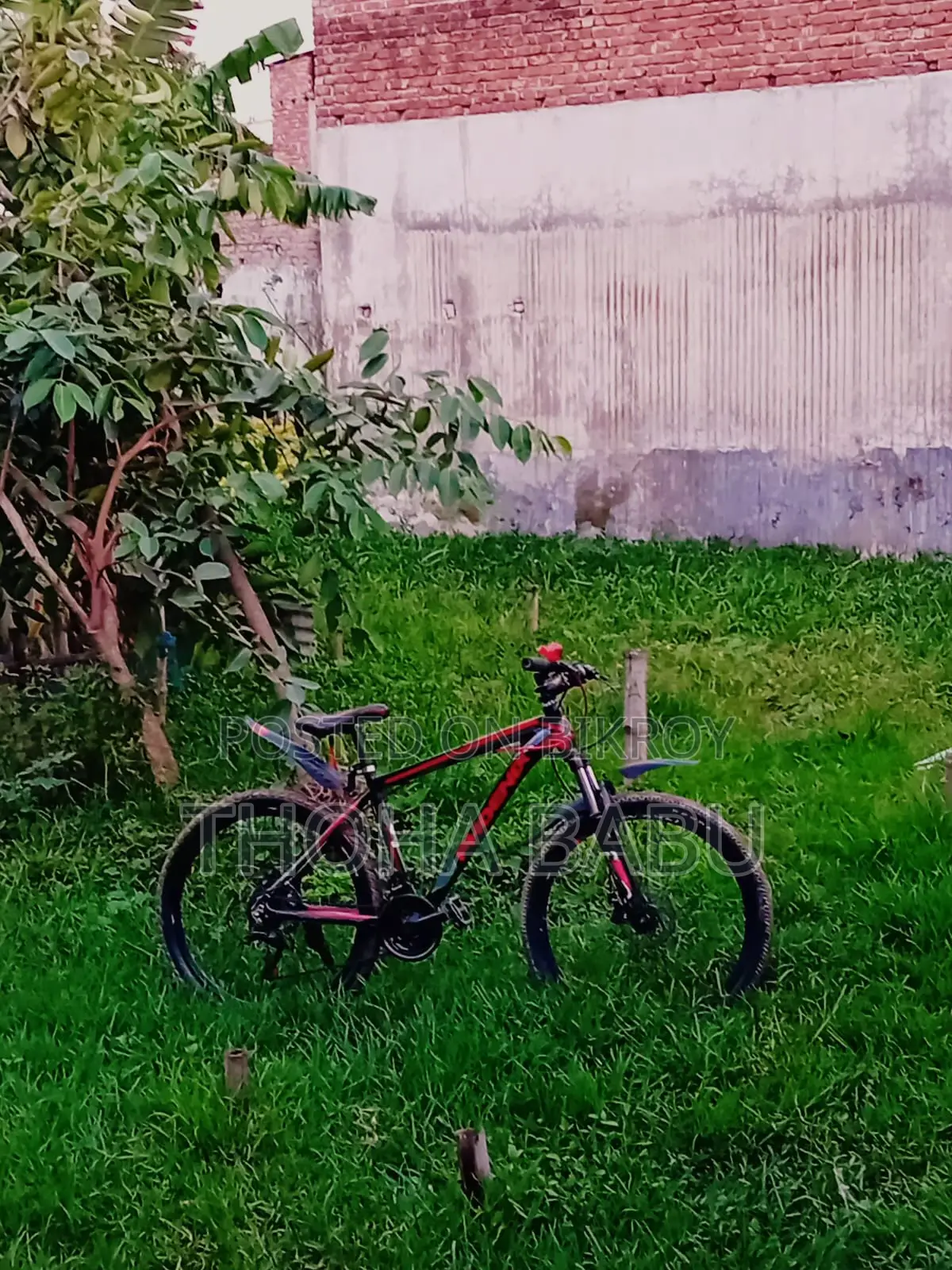 Phoenix Kool Bicycle