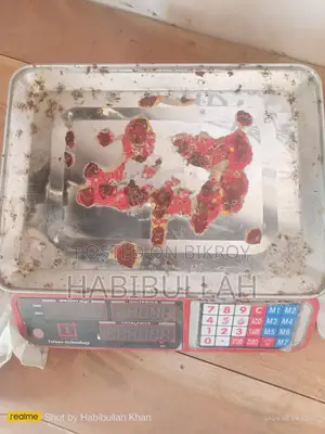 Digital Scale