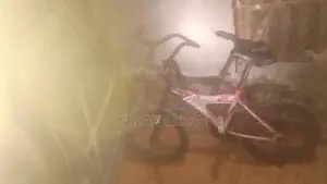 সাইকেল ১৬ ইঞ্চি