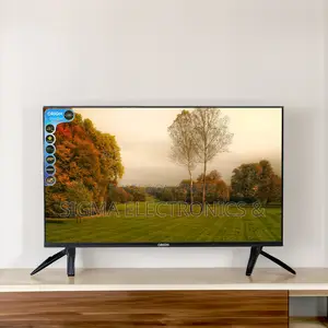 Experience Smart Entertainment with ORION 43-inch LED TV