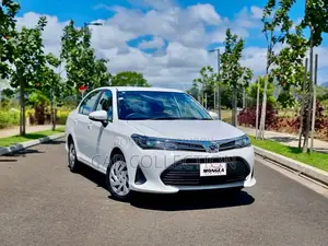 Toyota Axio Ex 2021