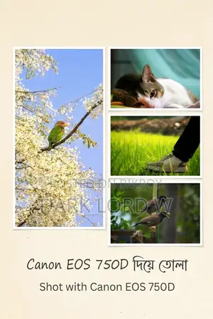 Canon EOS 750D with 55mm-250mm STM Zoom Lens