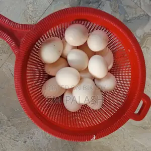 Tiger Chicken and Native Breed Eggs for Sale