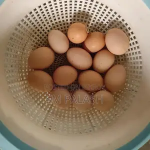 Tiger Chicken and Native Breed Eggs for Sale