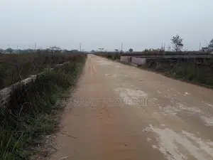 এম-ব্লক ৪০০০ সিরিয়াল ৪-কাঠা প্লট ৩০০ ফিট রোডের কাছে বিক্রয়