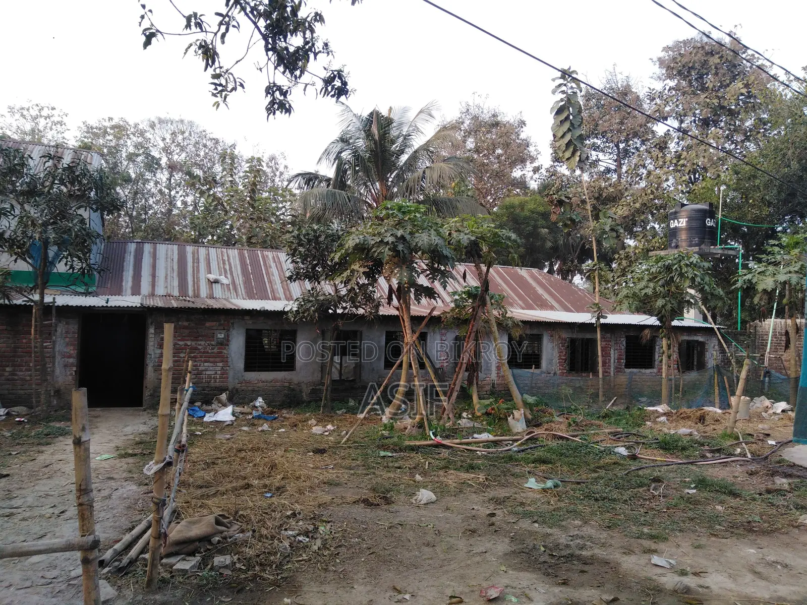 Cow and Poultry Farm for Rent
