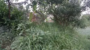 জমি বিক্রয়
