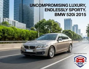 BMW 5 Series 520i TwinxTurbo 2015