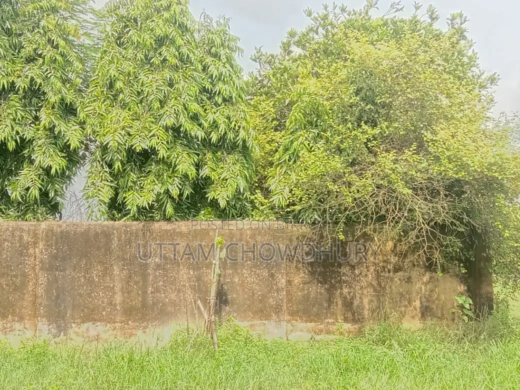 7 Decimal Homestead Land for Sale in Feni Madhupur
