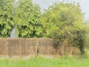 7 Decimal Homestead Land for Sale in Feni Madhupur