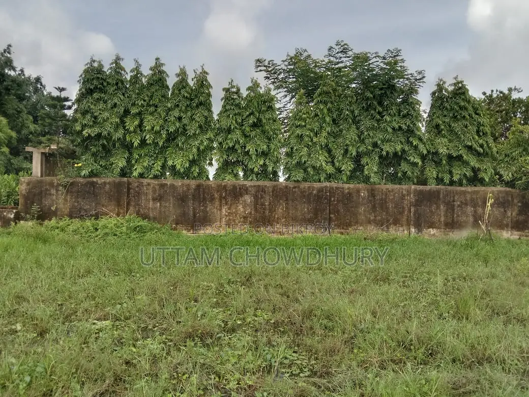 7 Decimal Homestead Land for Sale in Feni Madhupur