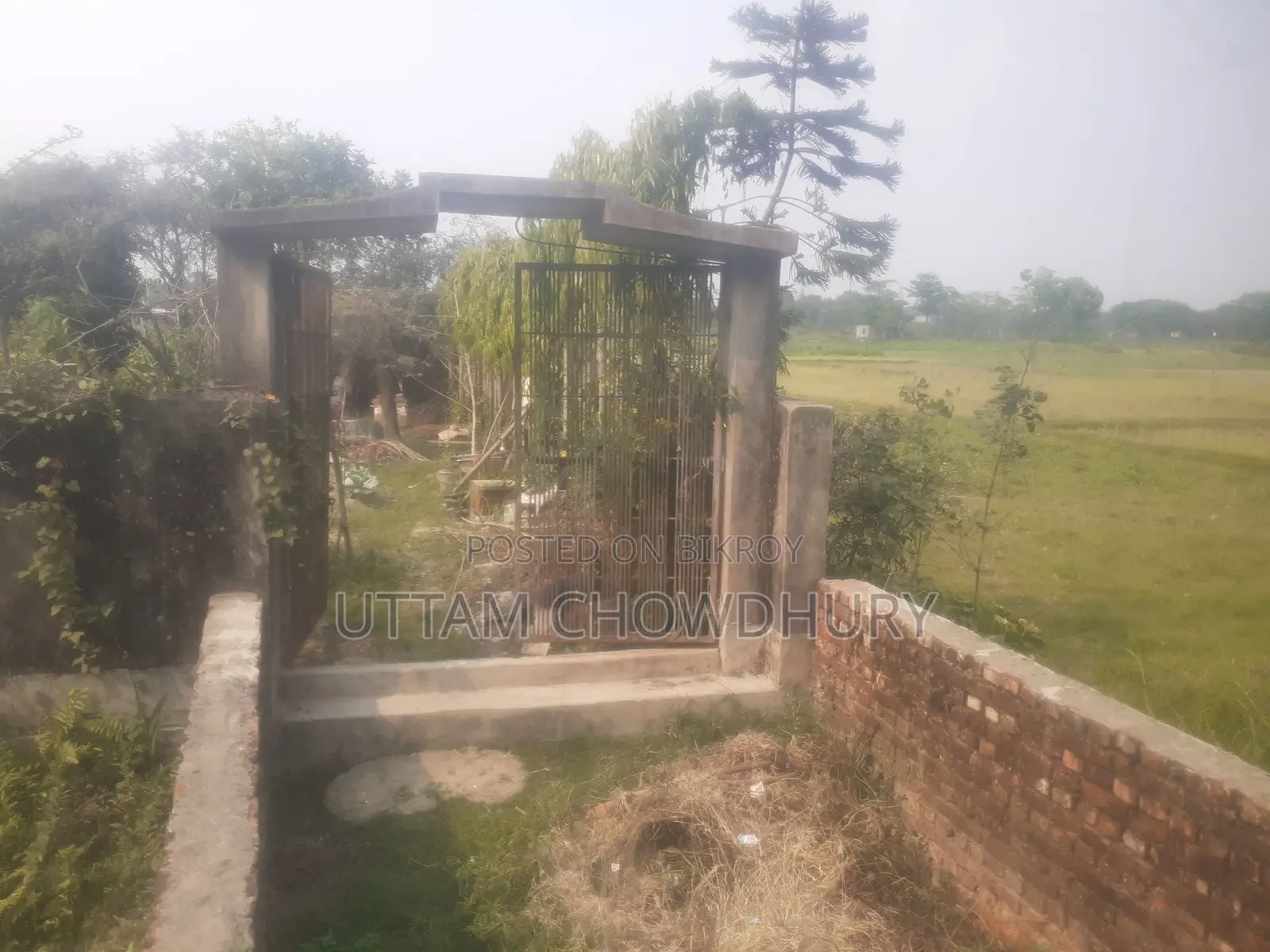 7 Decimal Homestead Land for Sale in Feni Madhupur