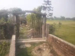 7 Decimal Homestead Land for Sale in Feni Madhupur