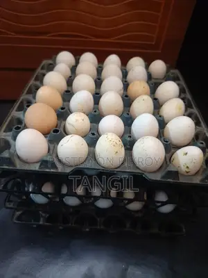 Deshi Chicken Eggs
