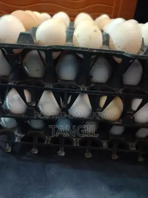 Deshi Chicken Eggs