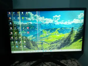 Esonic 19" Monitor