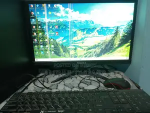 Esonic 19" Monitor