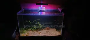 DIY Aquarium Low Tech Light