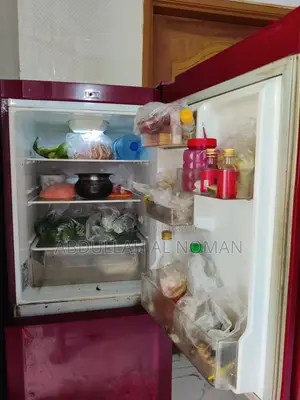 Lg - 215 Litter Refrigerator