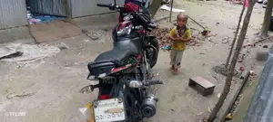 Bajaj Pulsar 150 . 2019