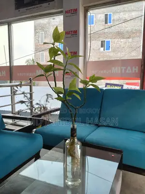 Decorate Your Home