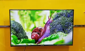 SINGER 43 Inche Android Framless Voice Control TV