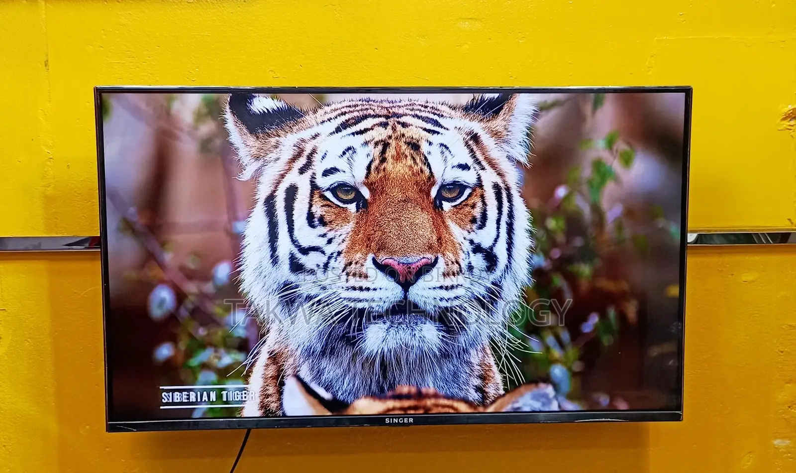 SINGER 43 Inche Android Framless Voice Control TV