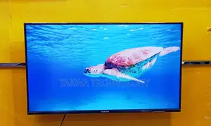 SINGER 43 Inche Android Framless Voice Control TV