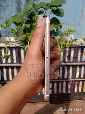 Apple iPhone 6S (64GB) (Used)