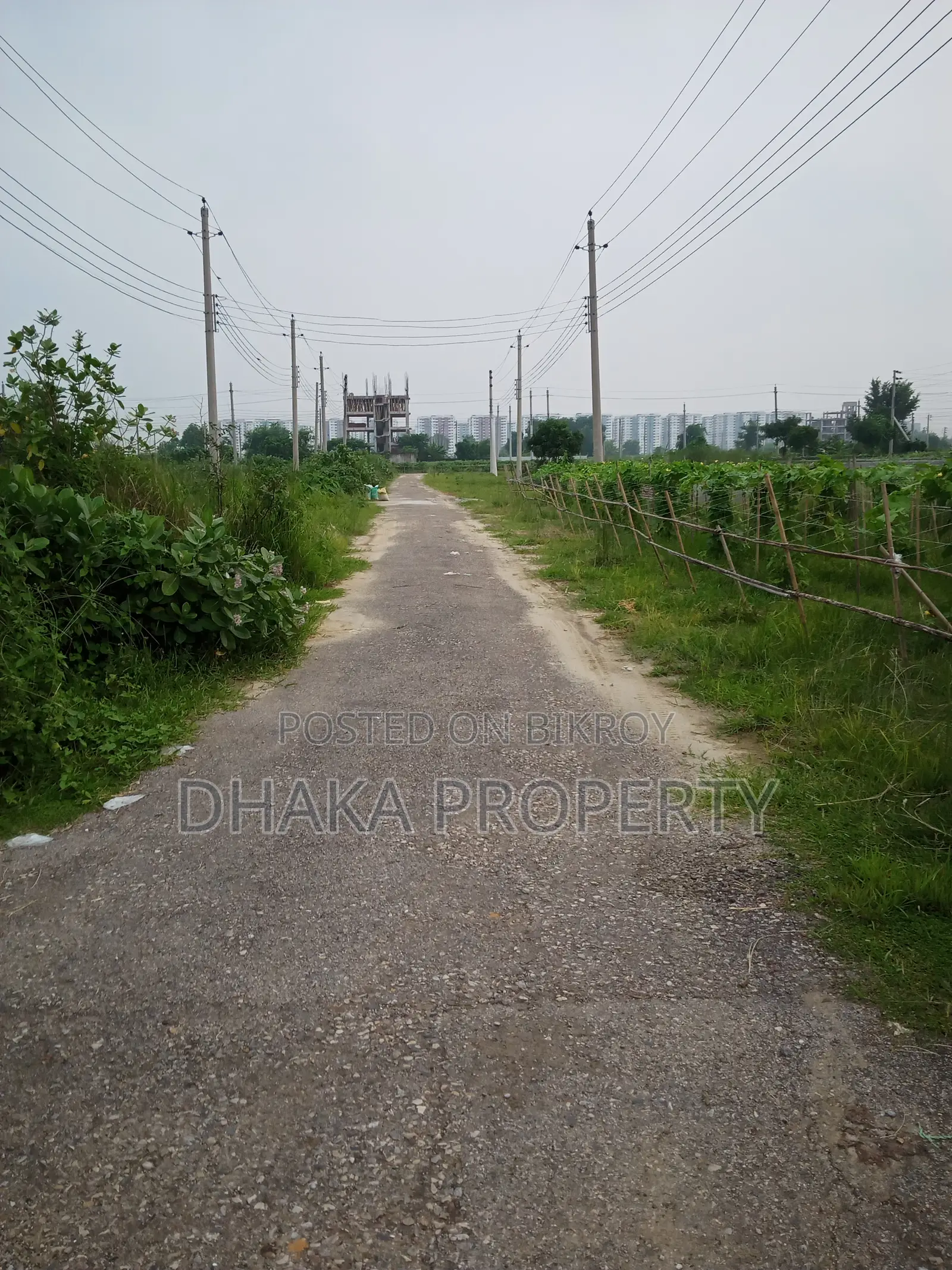 সেক্টর-১৭/এইচ১-এ ৫ এভিনিউয়ের কাছে ৩ কাঠার নর্থ ফেস প্লট
