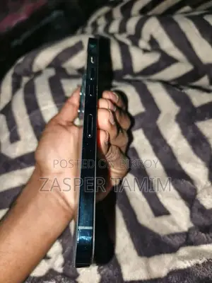 Apple iPhone 12 Pro Max (Used)