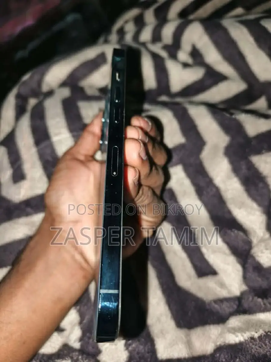 Apple iPhone 12 Pro Max (Used)