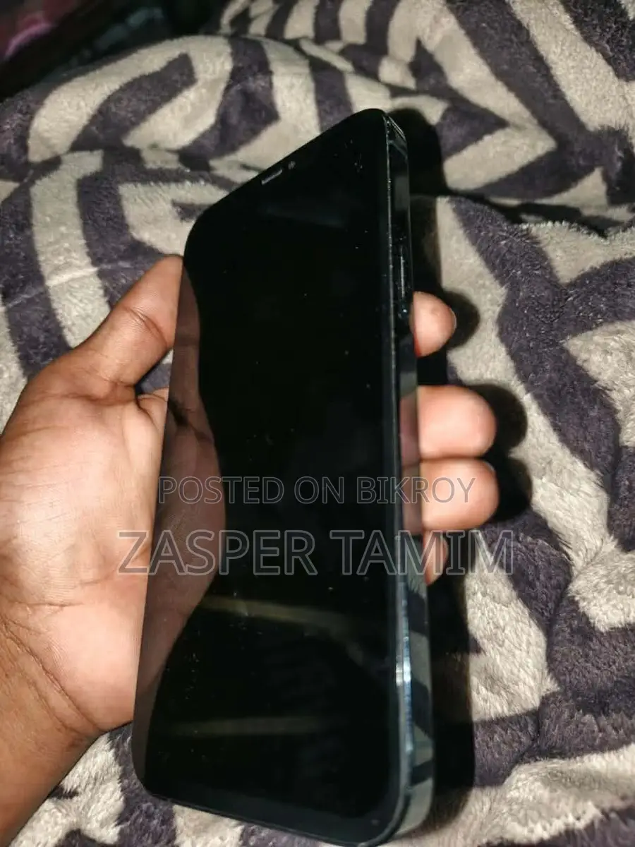 Apple iPhone 12 Pro Max (Used)