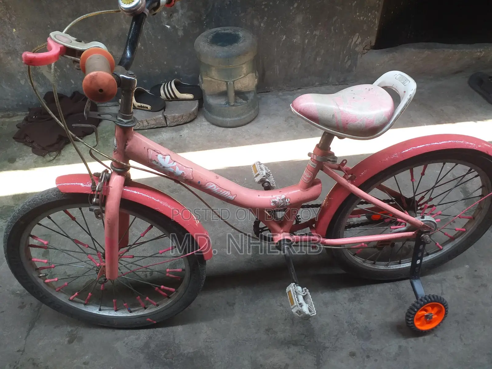 Duranta Bicycle for Sale