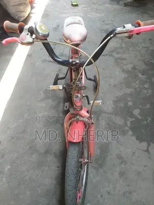 Duranta Bicycle for Sale