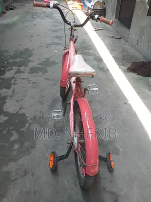 Duranta Bicycle for Sale