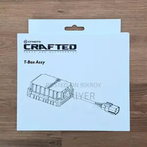 CF MOTO T-BOX 300SR