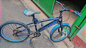 Duranta Bicycle for sale