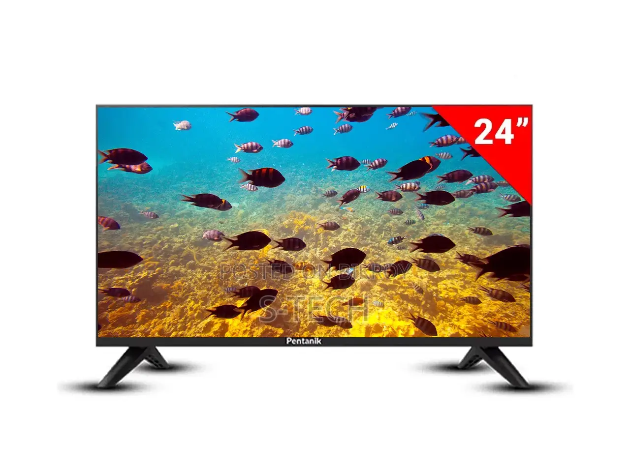 General Flag 24" TV