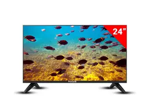 General Flag 24" TV