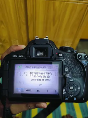 Canon 600d + zoom lens