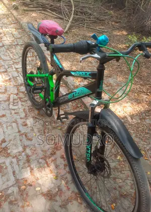 Prince gear bicycle