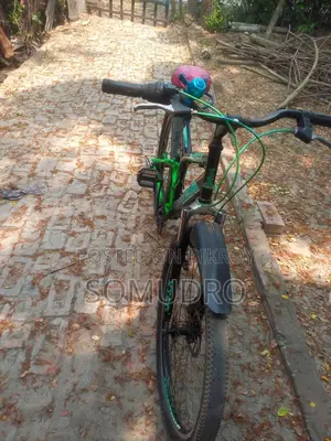 Prince gear bicycle